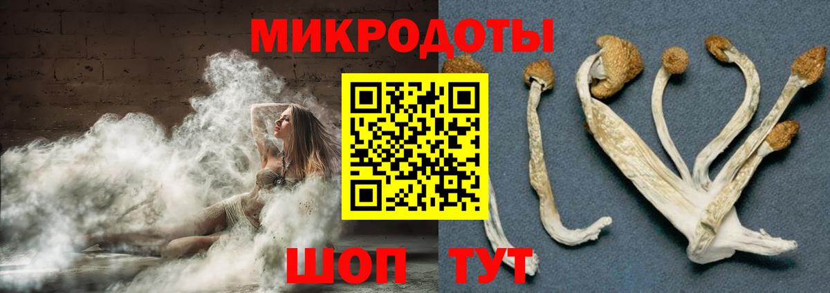 Псилоцибиновые грибы Psilocybe Строитель